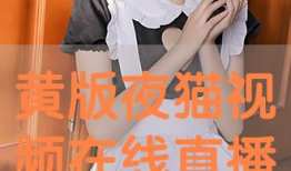 黄视频在线播放,揭秘热门短视频平台的魅力与挑战